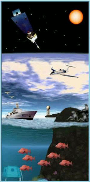NOAA